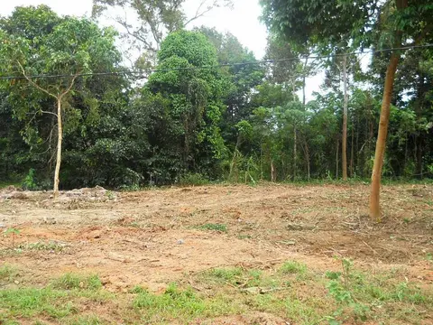 Pembersihan Tapak Cadangan Komplek Anak Yatim Di Labu - foto 5