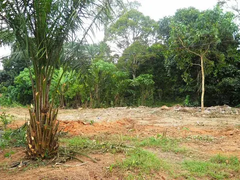 Pembersihan Tapak Cadangan Komplek Anak Yatim Di Labu - foto 6