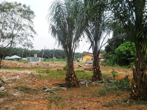 Pembersihan Tapak Cadangan Komplek Anak Yatim Di Labu - foto 7