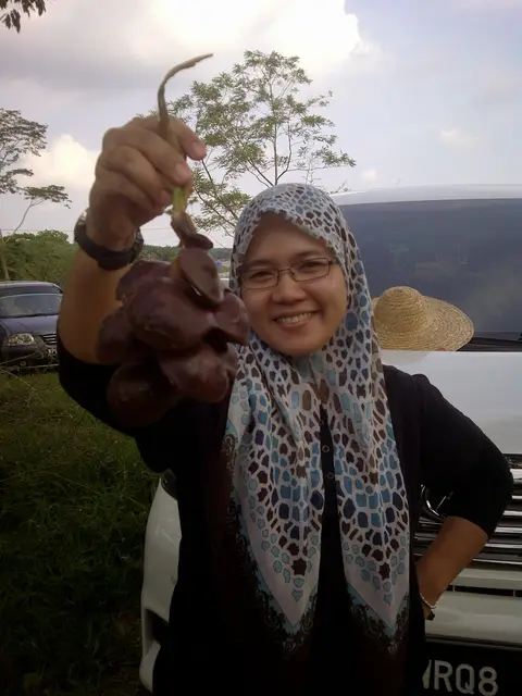 Kabin & Wakaf Labu - foto 8