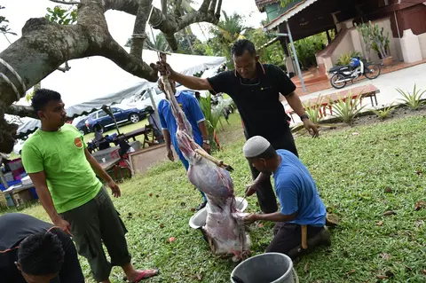 Majlis Qurban Yayasan TAAT Di Kota Negeri Sembilan 2016 - foto 7