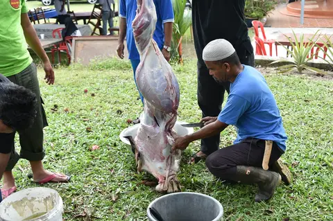 Majlis Qurban Yayasan TAAT Di Kota Negeri Sembilan 2016 - foto 8
