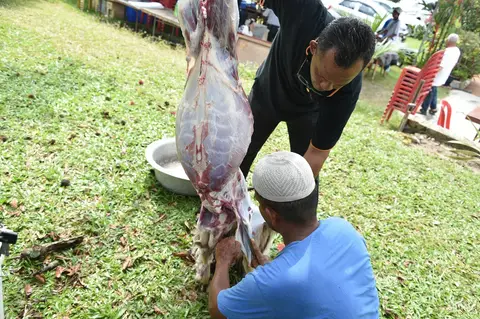 Majlis Qurban Yayasan TAAT Di Kota Negeri Sembilan 2016 - foto 10