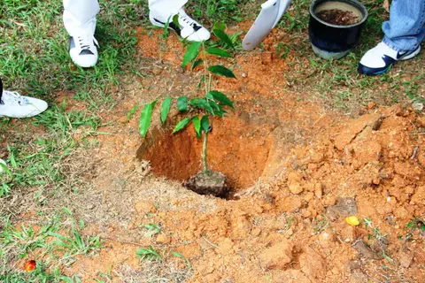 Majlis Gotong-Royong Bersama Jabatan Pendaftaran Negara Di Tapak Komplek Anak Yatim Yayasan TAAT dalam "Kempen Penanaman Sejuta Pokok" - foto 12