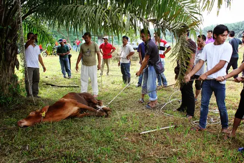 Majlis Korban 2013 - foto 2