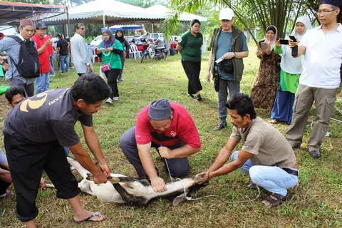 Majlis Korban 2013 - foto 11