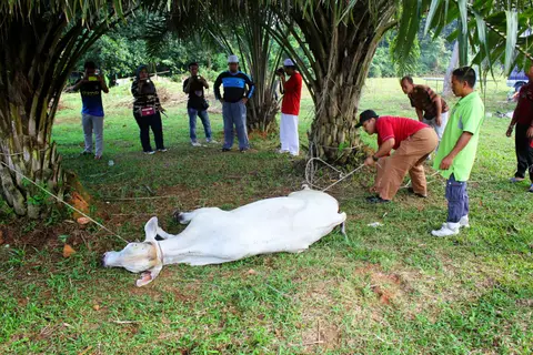 Majlis Korban 2014 - foto 11