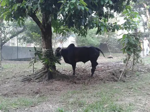 Majlis Qurban 2015 - foto 2