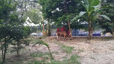 Majlis Qurban 2015 - foto 4