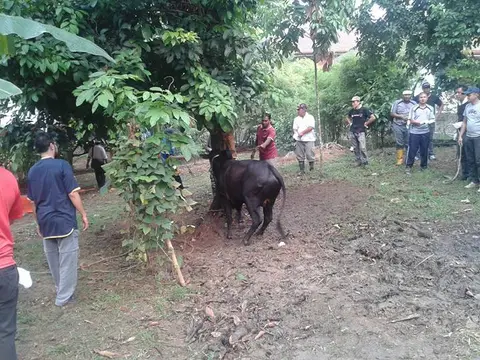 Majlis Qurban 2015 - foto 11