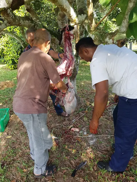 Majlis Qurban Sempena Eidul Adha Anjuran Bersama Yayasan Taat, Keluarga Arwah Makcik & Makmok Pada Sabtu 2hb Sept 2017 ( 11 Zulhijjah 1438H ) Bertempat Di Kota N.S - foto 12